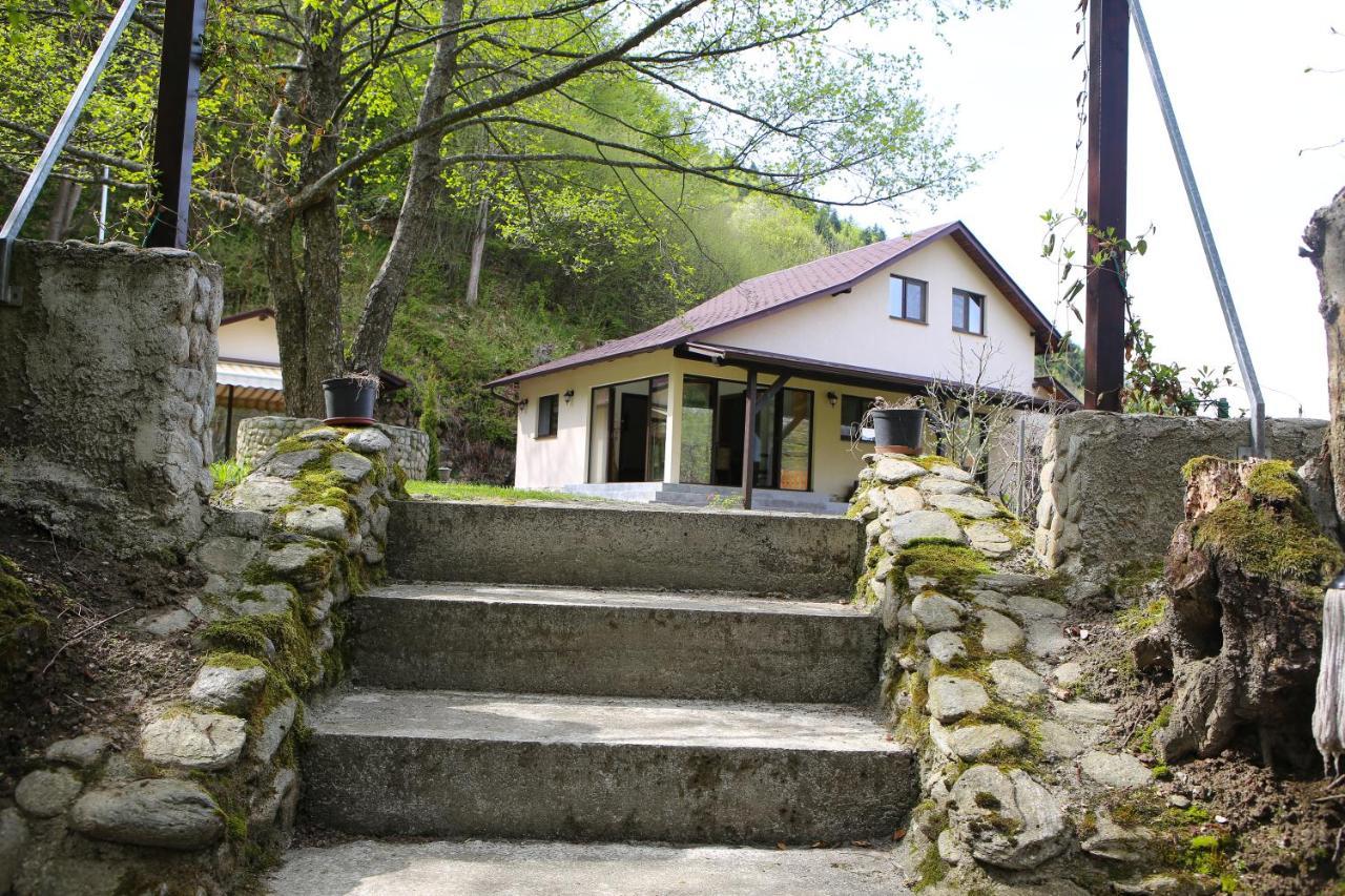 Pensiunea Tudor Breaza Exterior photo